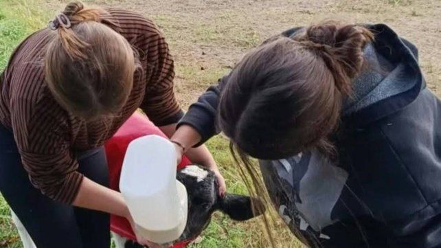 Escuela Agrotécnica N° 39 de Villa Urquiza celebra su 41° aniversario con una muestra anual y una peña