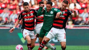 Flamengo y Palmeiras definirán al campeón de la Copa Libertadores y el ganador será el primer brasileño en obtenerla cuatro veces.