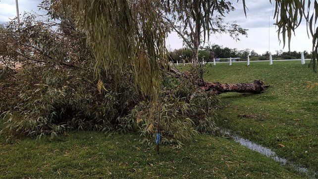 Cerrito: el temporal de viento y lluvia provocó grandes inconvenientes
