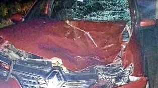 El siniestro se dio a la altura de Pedernal en el departamento Concordia.