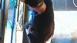 No tuvo mejor idea que robarse una pitón negra y esconderla en sus pantalones