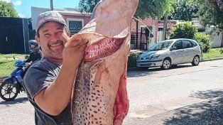Polémica en Bajada Grande: capturan un surubí gigante tras el fin de la veda.
