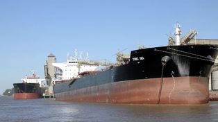 Secuestraron más de 500 kilos de cocaína en el puerto de Vicentin en San Lorenzo