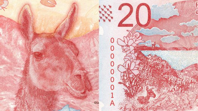 Cambian a Rosas por un guanaco en el billete de veinte pesos