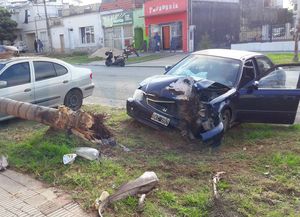 En Argentina mueren 21 personas por día en accidentes de tránsito