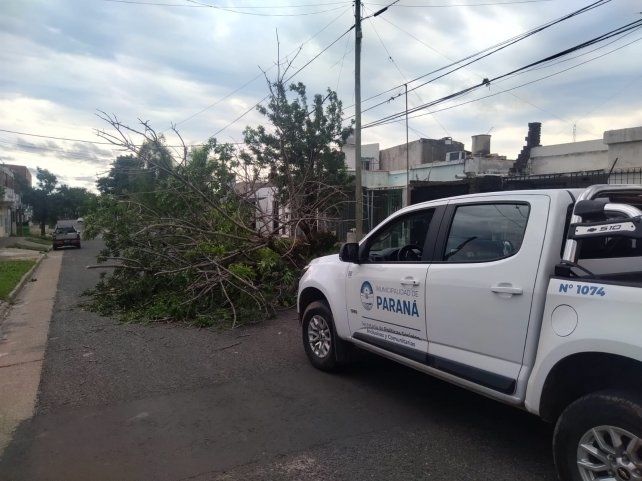 La Municipalidad dispuso de un operativo por la tormenta
