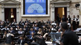 Diputados aprobó suspender las Paso para el calendario electoral de 2025