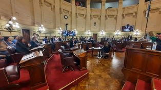 El atentado contra Cristina Kirchner también resuena en el Senado santafesino.&nbsp;