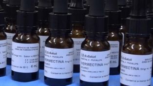 Coronavirus: un ministro de Salud provincial advirtió que no debe usarse la ivermectina