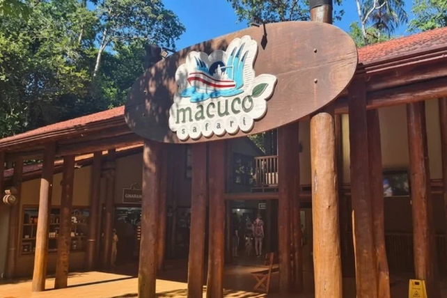 Tragedia en las Cataratas del Iguazú: murió un turista tras el vuelco de una lancha