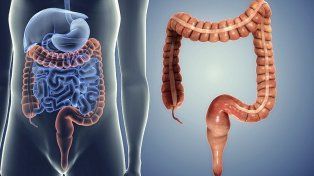 La harina que no inflama el intestino