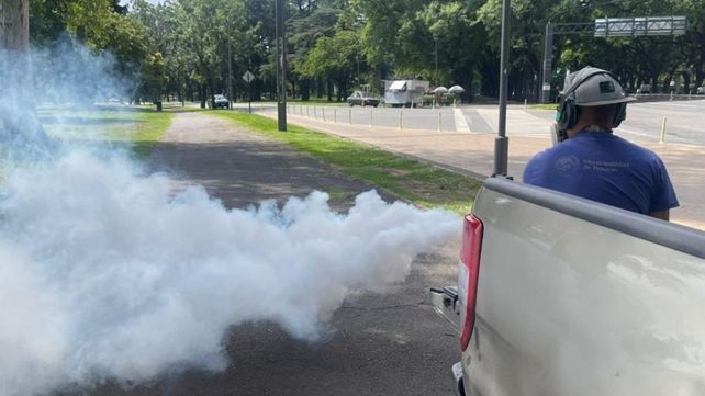 Frente a la proliferación de mosquitos provocada por las últimas lluvias