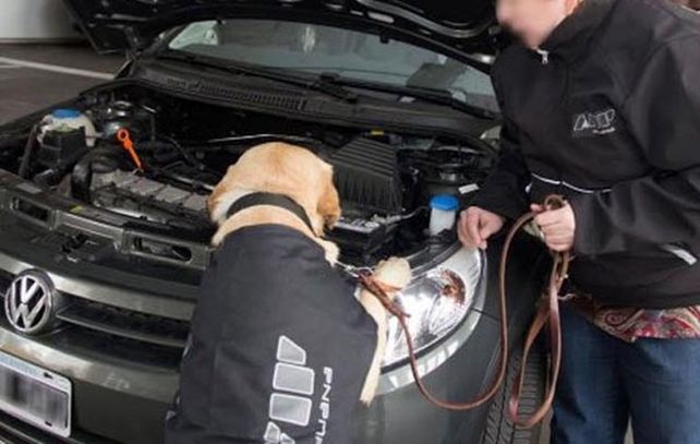 Un perro de la AFIP detectó dólares en el motor de un auto que cruzaba a Uruguay