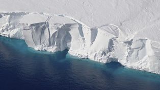 Alertan sobre la desintegración de un glaciar de la Antártida