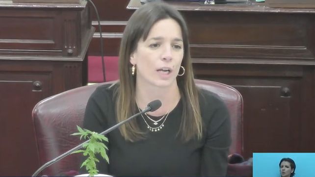Diputadas provinciales exhibieron en sus bancas plantitas de marihuana y se disparó la polémica