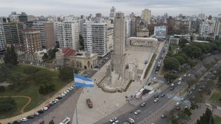 ¿Sabías que si Rosario quiere plantar árboles tiene que pedir permiso?