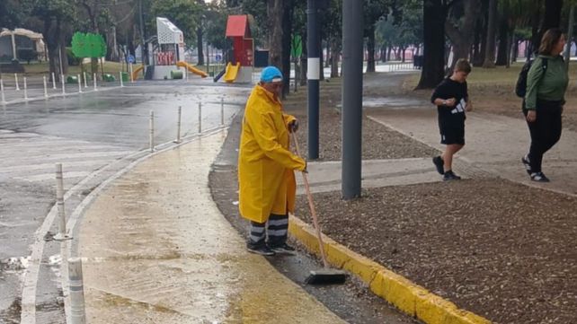Se intensifican tareas de higiene y mantenimiento urbano en toda la ciudad.