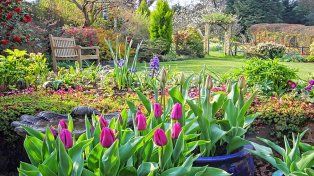 El abono casero ayudará para tener un jardín sano y con muchas flores