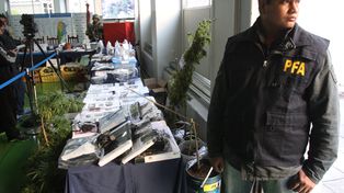 Cayó un DJ de fiestas electrónicas con drogas hechas con ranas amazónicas