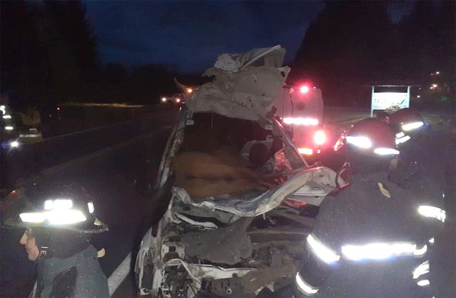 Chubut: chocó a un caballo en la ruta 40 y el animal quedó inscrustado en la camioneta