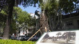 Un siglo y medio después