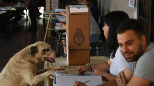 Elecciones 2023: los mejores memes que dejó la jornada electoral
