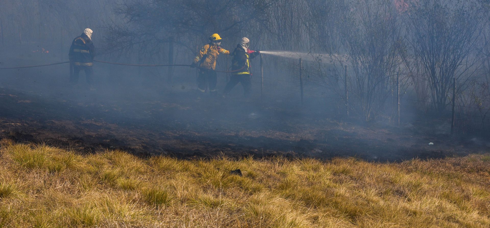 Ambientalistas denuncian mal accionar de bomberos entrerrianos en las islas frente a Rosario