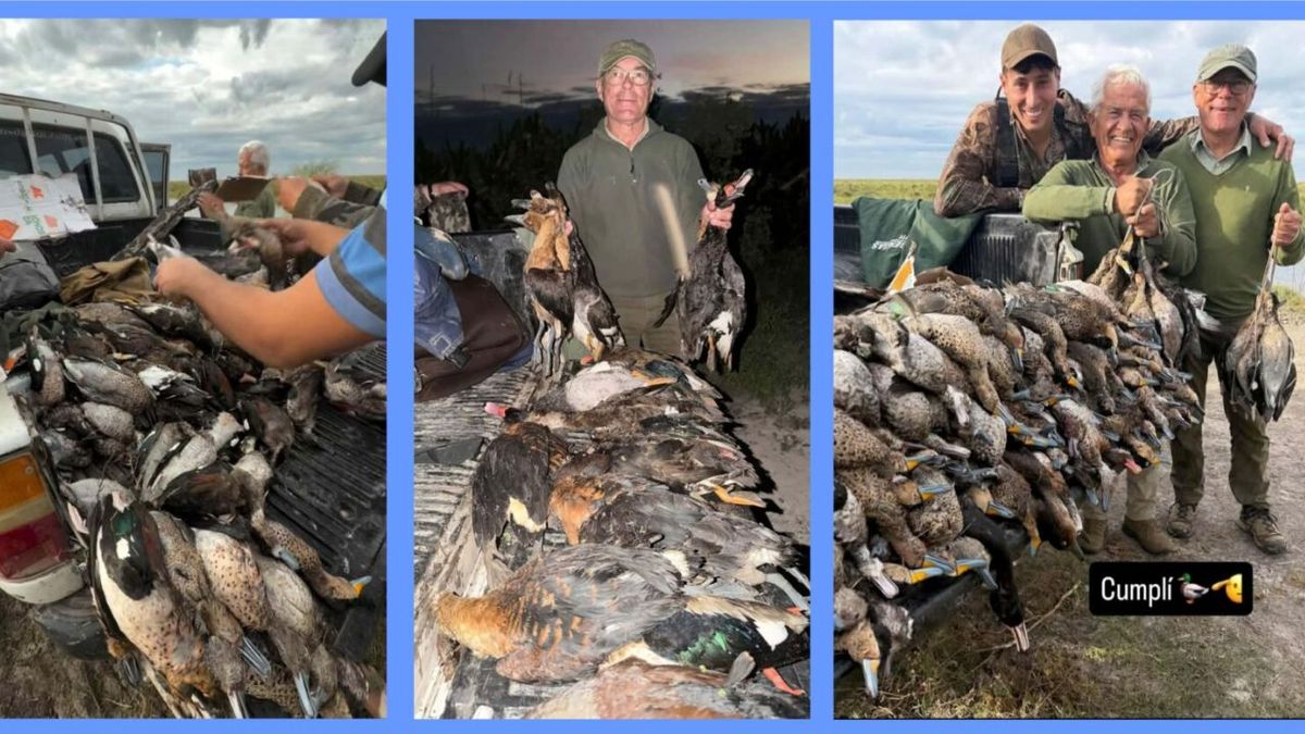 Masacre de fauna en el norte santafesino: investigan la caza ilegal de más de 300 animales