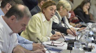 Alicia Fregonose, en representación del Gobierno de Entre Ríos, estuvo en la asamblea del Consejo Federal de Educación.