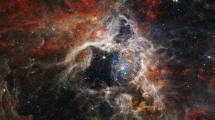 El telescopio James Webb descubrió miles de estrellas en la Nebulosa de la Tarántula