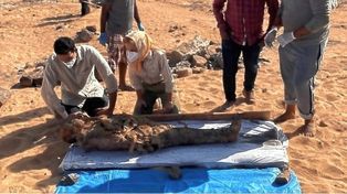 Hallaron en Egipto una necrópolis familiar con 30 momias