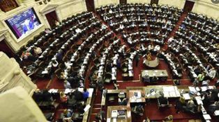 La Cámara de Diputados de la Nación.