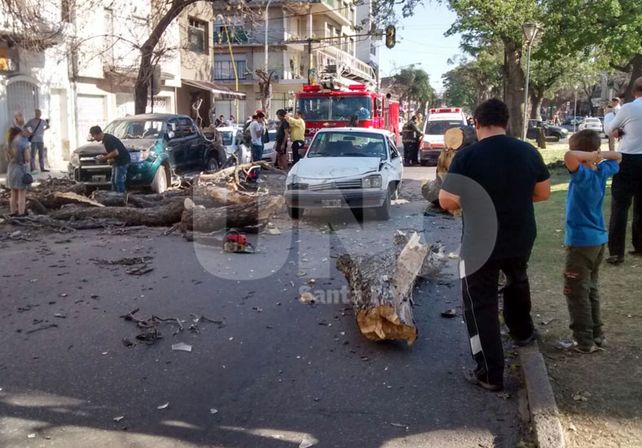 Cayó un árbol sobre un auto en pleno Bulevar