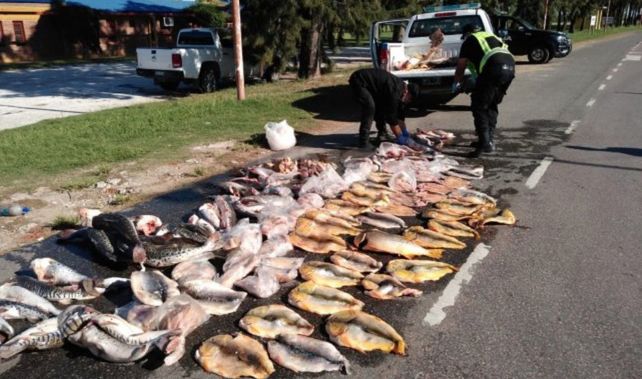 Pescaban surubíes a arponazos y palazos y los detuvieron