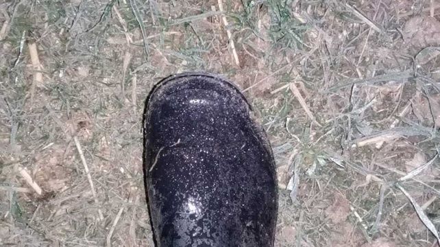 Im&aacute;genes de la helada de este viernes en el paraje La Balsa de Villa Urquiza