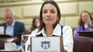 Lucila De Ponti, presidenta de la Comisión de Transporte de la Cámara baja provincial&nbsp;