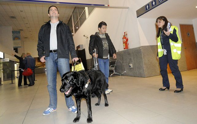 Arribo. Maximiliano Marc junto a su perro anoche tras bajar del avión. Cuando votaron la ley abracé a Bandit.