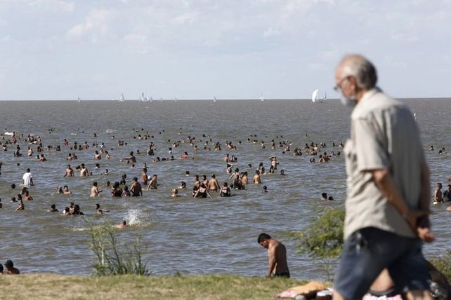 Ríos y lagunas de Santa Fe, Buenos Aires, Córdoba y Entre Ríos albergan algas tóxicas