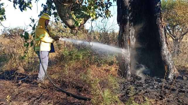 Las quemas de pastizales se multiplican por la sequía