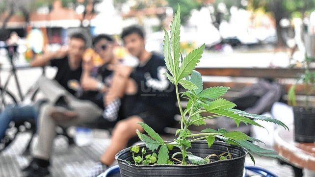 Marcha Mundial de la Marihuana en Santa Fe