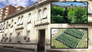 Cayó el dueño del campo en el que hallaron la plantación de marihuana en Arroyo Leyes