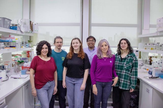 Investigadores del instituto de Biología Molecular y Celular de la UNR/Conicet avanzan en la lucha contra el Chagas 
