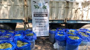 La coca estaba disimulada entre bolsas de porotos.