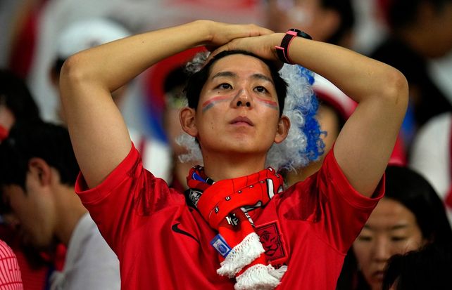 Un hincha de Corea del Sur en el partido frente a Ghana que sirvió para el primer ensayo chino de censura.