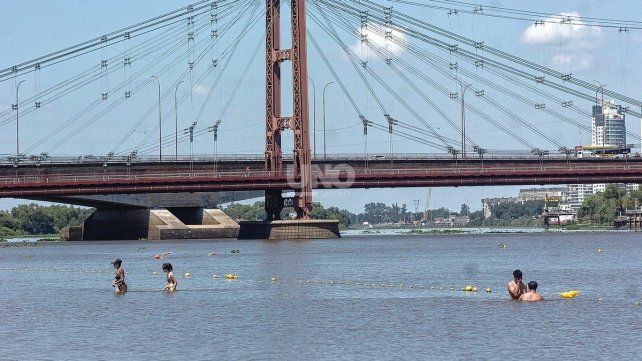 Volvieron los ataques de palometas en la Costanera Este: varios bañistas resultaron heridos, en su mayoría niños