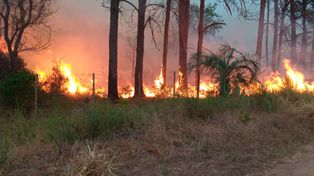 Volvieron los incendios forestales a Corrientes y se teme un nuevo desastre