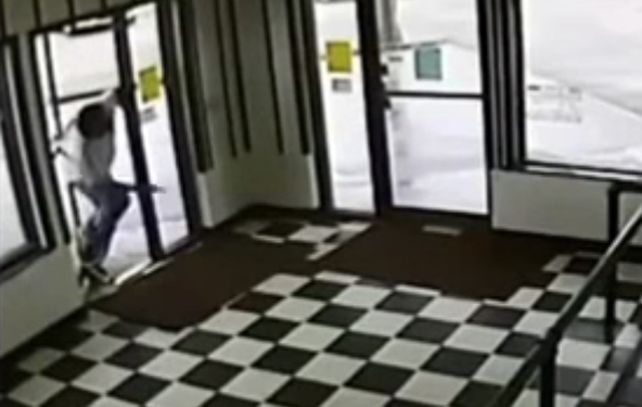 Caminaba mirando el teléfono, pisó sin querer una víbora y recibió un mordisco en la pierna