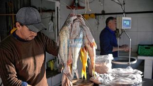 Semana Santa: la bajante del río influirá en el precio del pescado