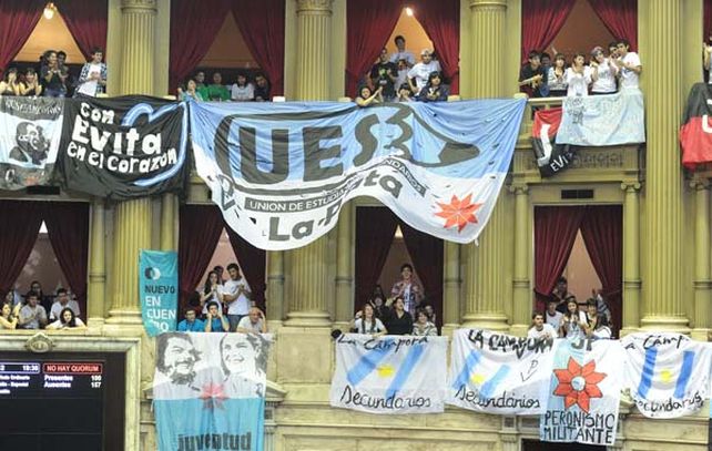 Trapos desplegados. Los jóvenes coparon las bandejas y llevaron color y bullicio al recinto de sesiones