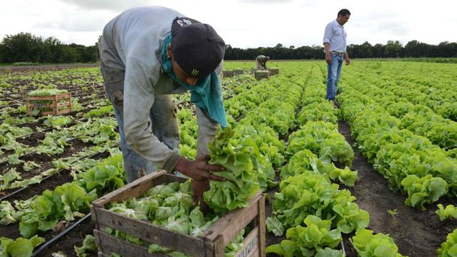 La participación del productor en los precios es de sólo un 22,8%